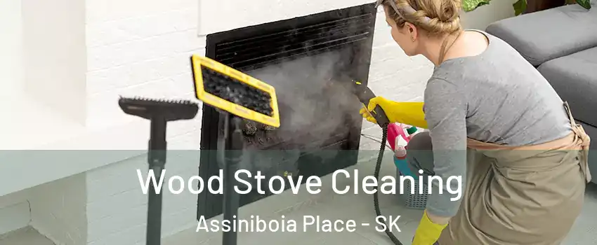  Wood Stove Cleaning Assiniboia Place - SK