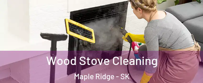  Wood Stove Cleaning Maple Ridge - SK