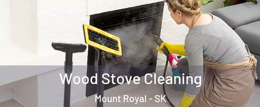  Wood Stove Cleaning Mount Royal - SK