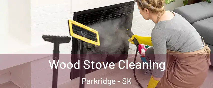  Wood Stove Cleaning Parkridge - SK