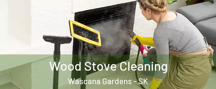  Wood Stove Cleaning Wascana Gardens - SK