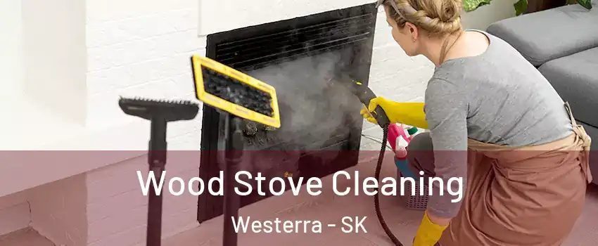  Wood Stove Cleaning Westerra - SK